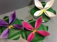 Origami Waterlily