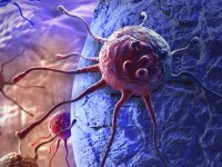 «Πεινασμένα» καρκινικά κύτταρα μπορούν να εμποδίσουν την ανάπτυξη νέων όγκων