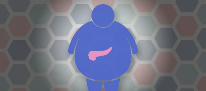 Καρκίνος Παγκρέατος και Παχυσαρκία
