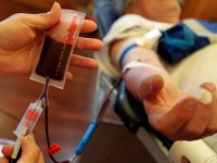 Η Ευρωπαϊκή Επιτροπή εγκρίνει το ETELCALCETIDE για τη θεραπεία του Δευτεροπαθούς Υπερπαραθυρεοειδισμού σε ενήλικες που υποβάλλονται σε Αιμοκάθαρση