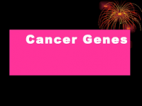 Τα γονίδια του καρκίνου