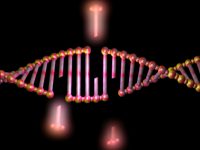 Επιστήμονες κατέγραψαν το «αποτύπωμα» κάθε καρκινογόνου στο DNA των κυττάρων